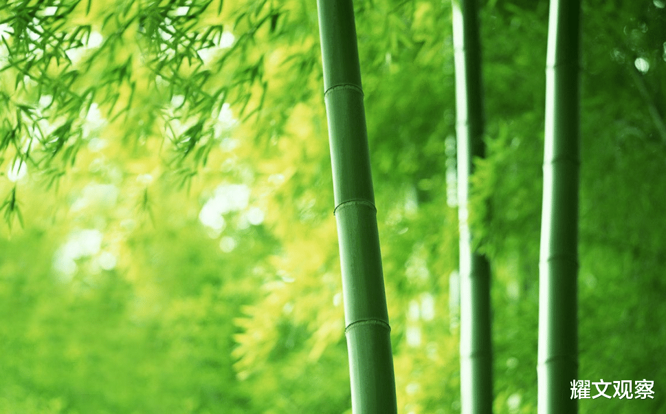贪官甘荣坤落马细节披露:老板为其筹赌资,坐上赌桌如同打了鸡血
