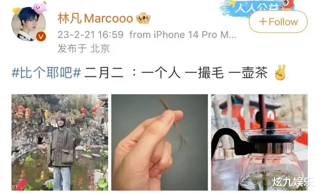 杨幂|同款手链同款花,一起遛狗买猫多次同游,杨幂新的年下恋要来了?