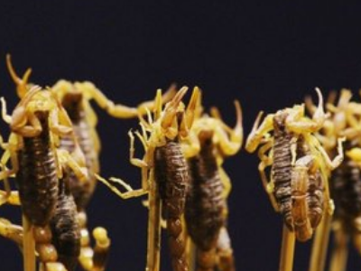 山东省|在中国,山东有5种“争议很大”的食物,土生土长却不觉得有什么,外国人否决