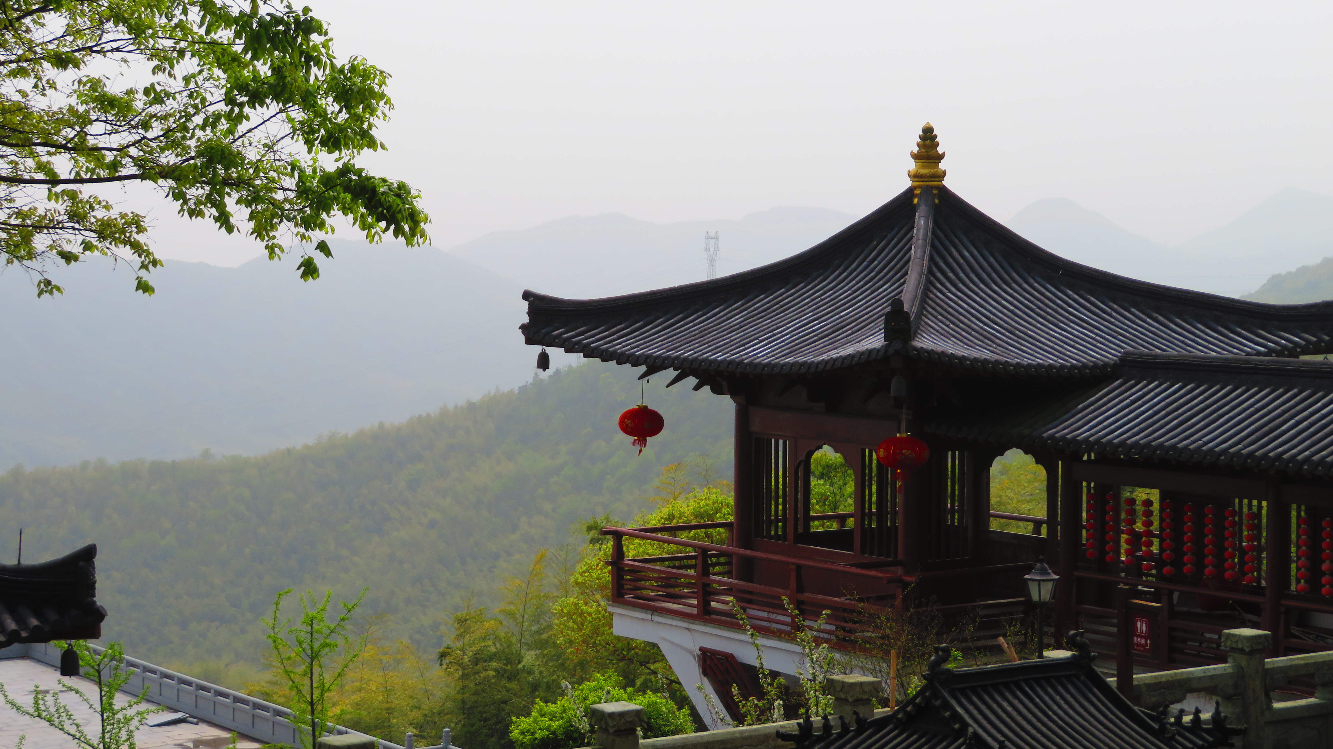 科技资讯(主打网)