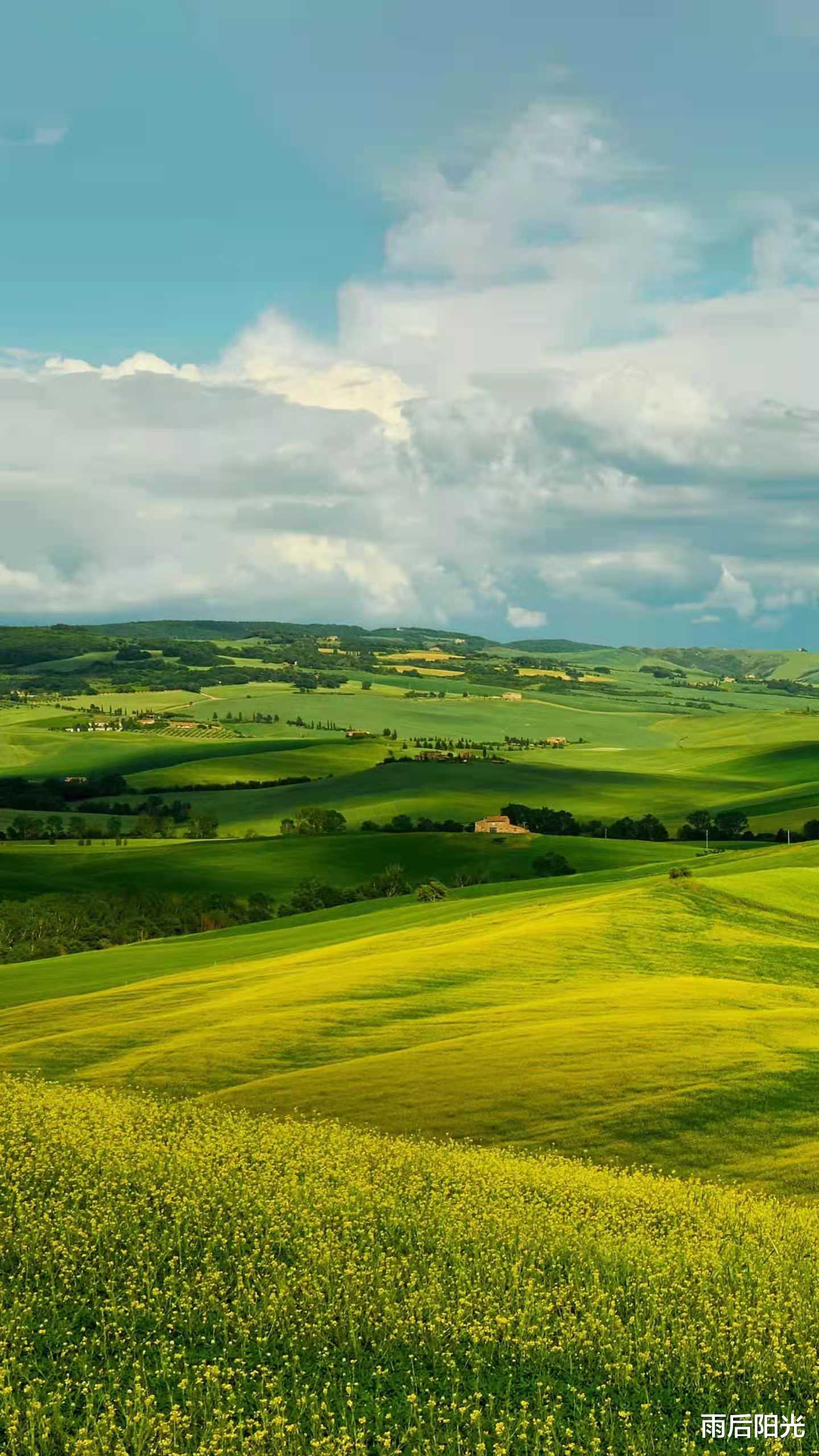 面包|?很多网友说，现在面包都变成奢侈品了，吃不起了