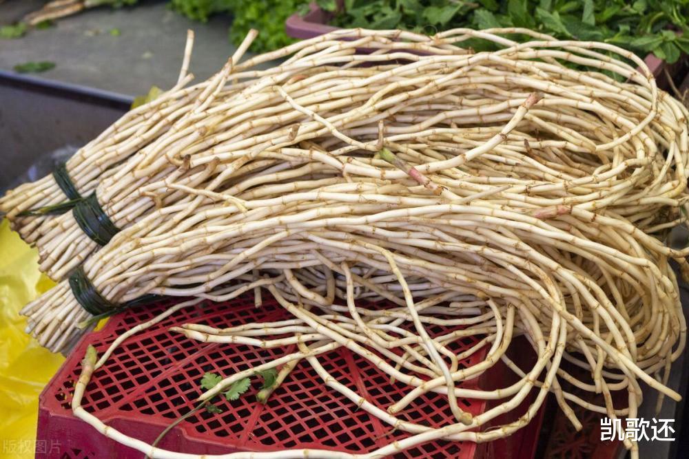 蕺菜|中国“最难吃”的五种蔬菜，尤其前三种争议最大，全爱吃的是牛人