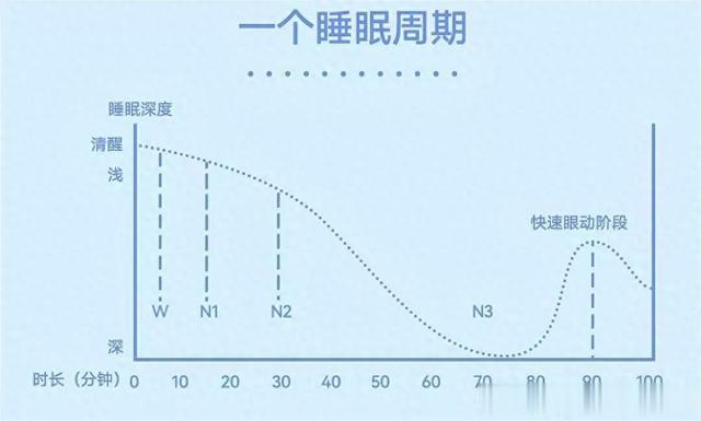 我们真的只要睡足八小时就可以精力充沛了吗？