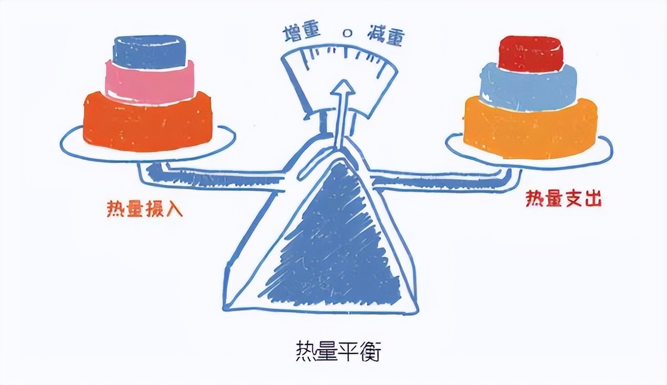 饮食|少吃多动你为什么瘦不下来?4个方法让你在夏天一瘦到底