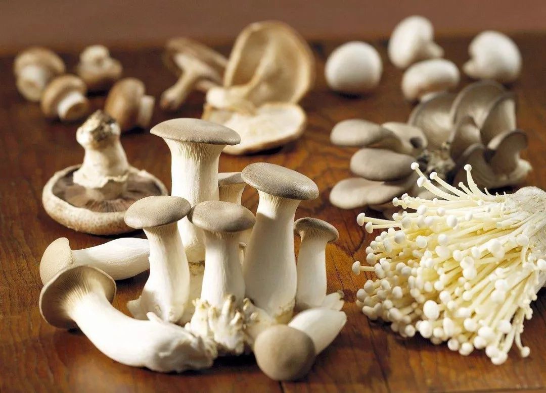 它是“菌中皇后”！三天吃一次，润肺护心健脾益胃，润燥不上火