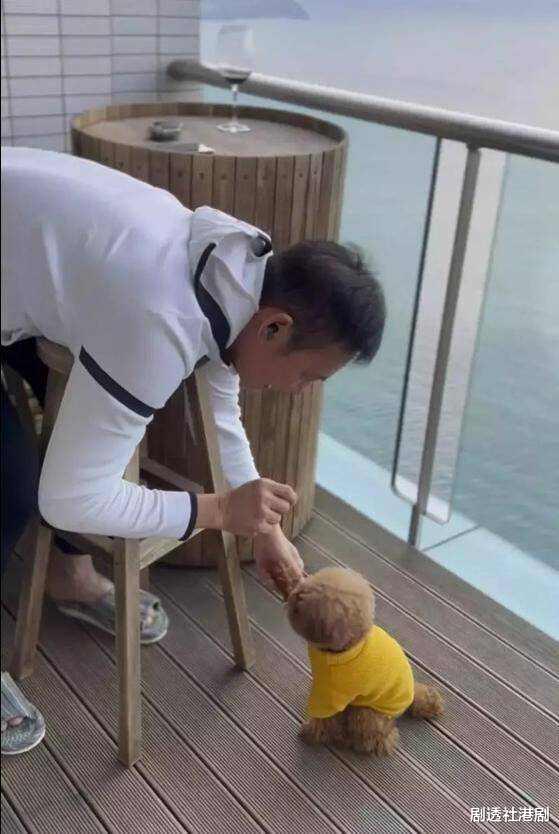 香港著名星二代疑恋情曝光！曾被喊话选港姐，撞脸“两代嘉欣”