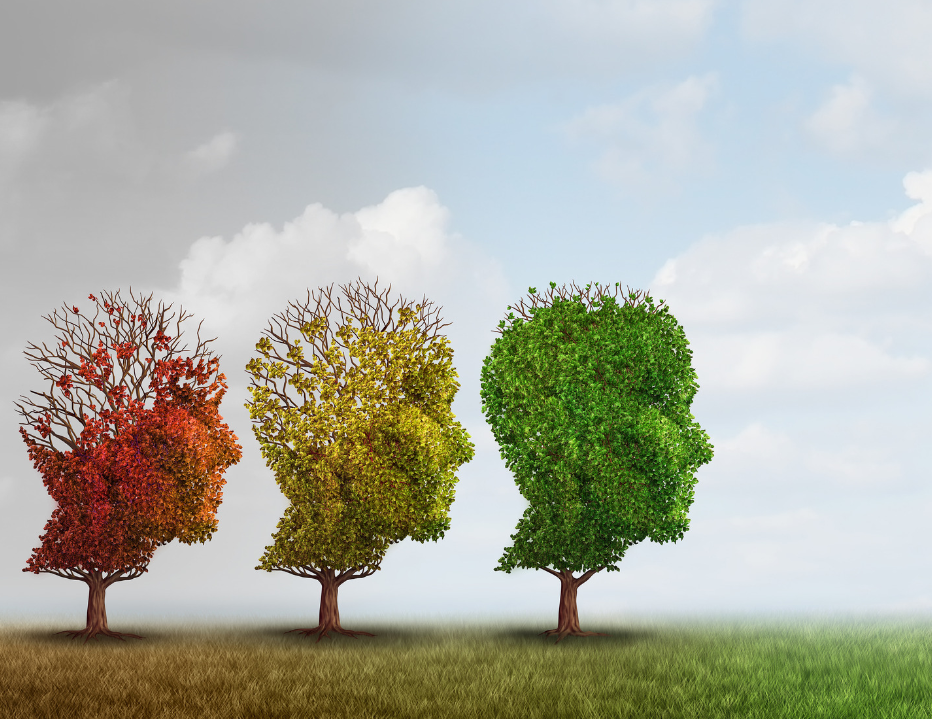 最新研究证明,老人如果有这两种习惯,很容易痴呆