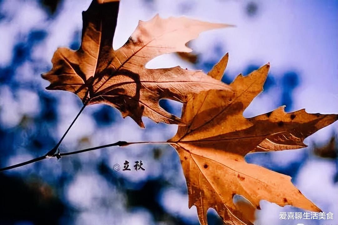 立秋|8月8号是立秋,记得“吃3样,做3事”,可助您顺利度过夏秋交替!