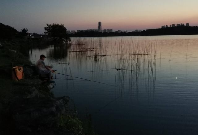 饵料|被称为“五毒”的蛇类，夏天夜钓不可掉以轻心，被咬重者全村开席