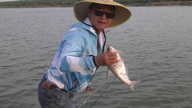 |初夏野钓鳊鱼攻略,混合窝行程跨水层,你渔获是最多