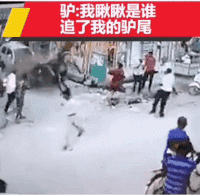 型男 “原来男生的胡子,对颜值至关重要啊,型男变呆瓜!”