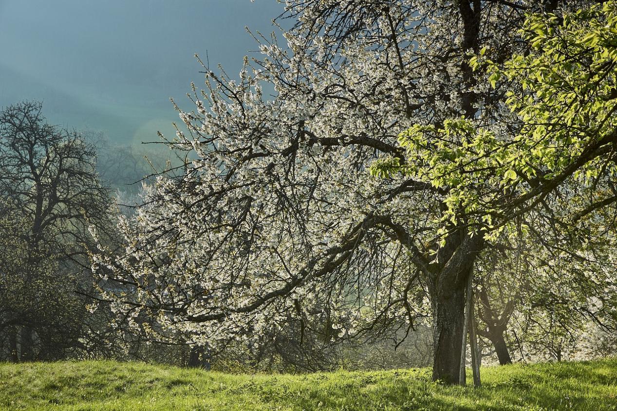 |如何与职场中的傲慢同事相处?