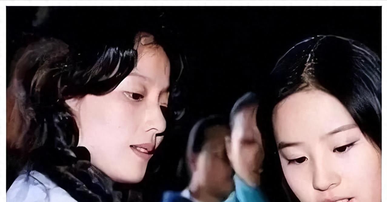 刘亦菲妈妈刘晓莉:曾“跳楼”夺女?为女儿两婚两离,如今过怎样了