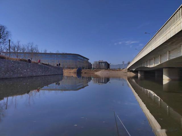 鲫鱼|钓鱼日记——2023年3月3日（西马坊）