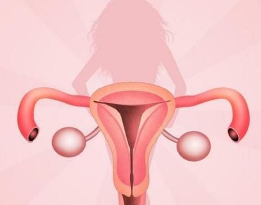 水果|子宫或不欢迎这5种水果,医生劝告:女性要少吃,不妨来了解一下