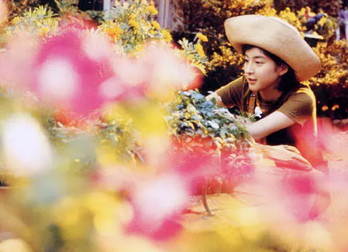 |伦理哏,还是得看日本人