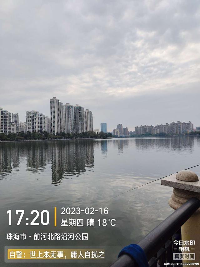 鲤鱼|给鱼尝尝肥宅快乐水，前有花河豚后有靓鲤鱼