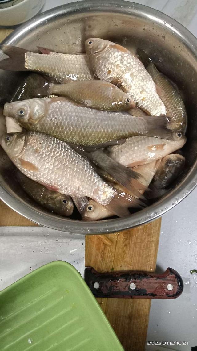 寒潮|冬钓寻着规律走，寒潮欲来出好口