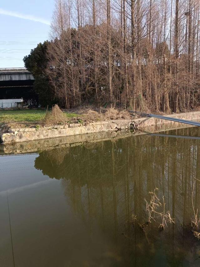 |黄大仙助阵,不爆护都难