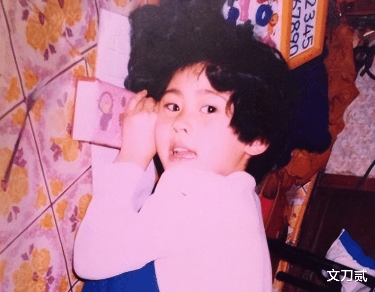 秋瓷炫|秋瓷炫半生悲欢,终究还是放下了