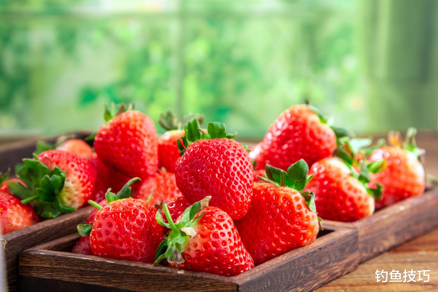 夏季钓鱼用哪种香味?夏季钓鱼的5种香味