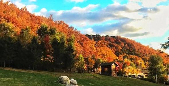 |立冬前后,这种海鱼大量上市,5元一斤,美味实惠,遇到别错过