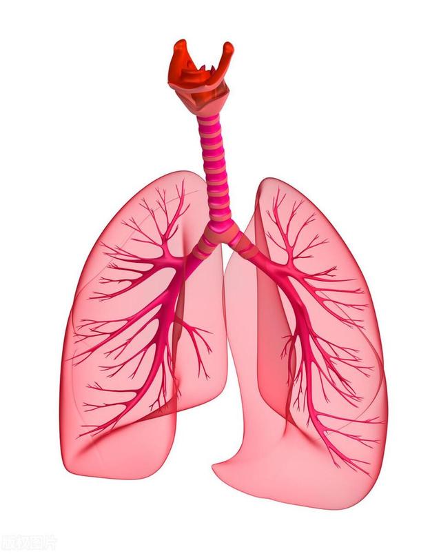 “肺纹理增多”,是一种什么病?会不会很严重?医生详解