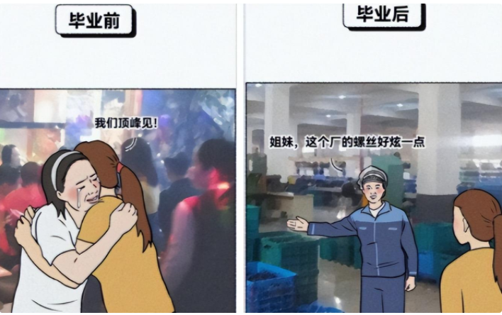 程序员|大学生用“梗图”还原毕业前后,主打的就是真实,看完笑晕在厕所