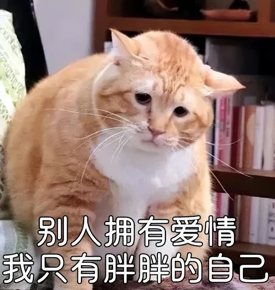 运动 扒一扒！那些爆火的懒人瘦身神器，真的有用吗？