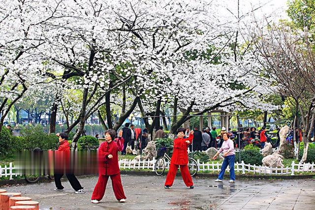 长期静养和天天锻炼的人，谁更长寿？调查22398名老人，给出答案