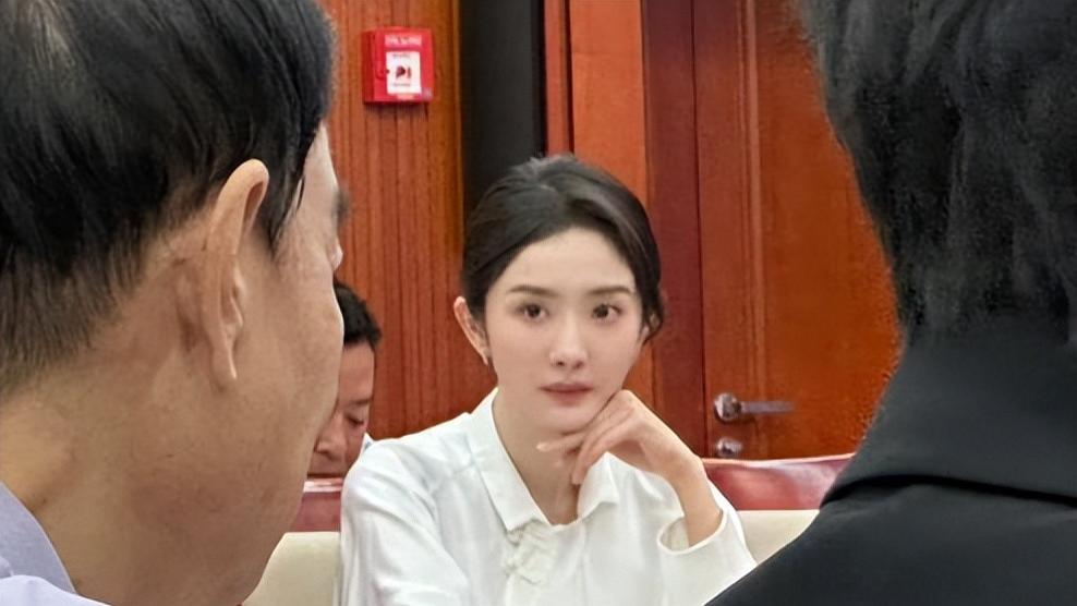 杨幂身穿廉价衬衫出席座谈会，呼吁抵制天价片酬，却惨遭网友嘲讽