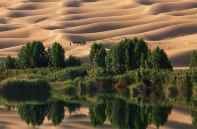 塔克拉玛干沙漠|为什么沙漠会下雪？是否证明沙漠正在变绿洲？