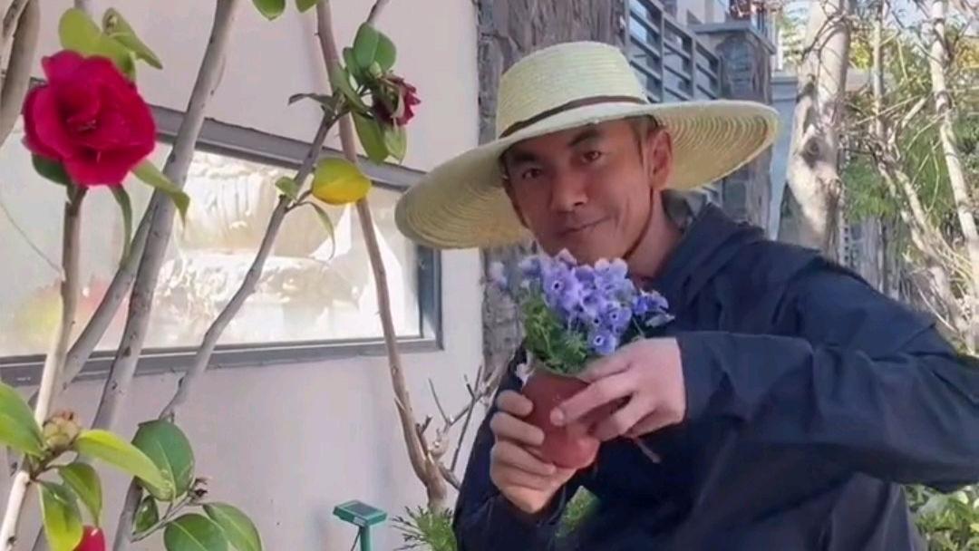 任天野|52岁任天野回农村过年，戴草帽清理花园，意外曝光三层小洋楼住宅