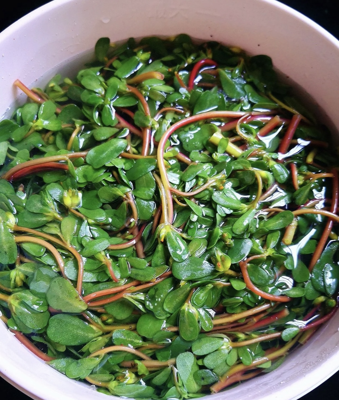 饺子|三伏天，遇到这菜别手软！剁碎包饺子，好吃又解馋，不懂吃真可惜