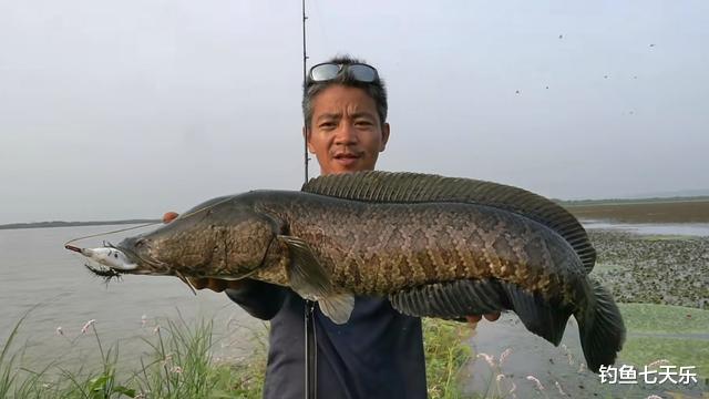 |他是“路亚圈”领军人物,为了钓鱼摆过地摊,用出色钓技征服老外