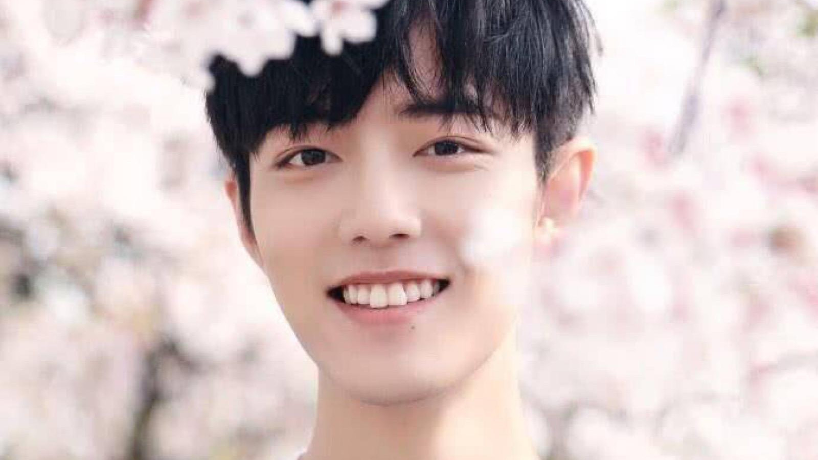 娱乐圈爆炸性大瓜，肖战、成毅、邓为要塌房？评论区沦陷