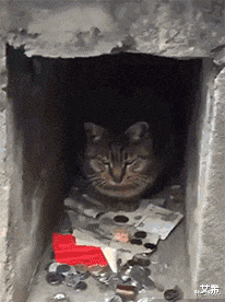 集成电路|“总经理办公室这样设计，要不要加厚隔音墙呢？”哈哈哈哈哈太有才了