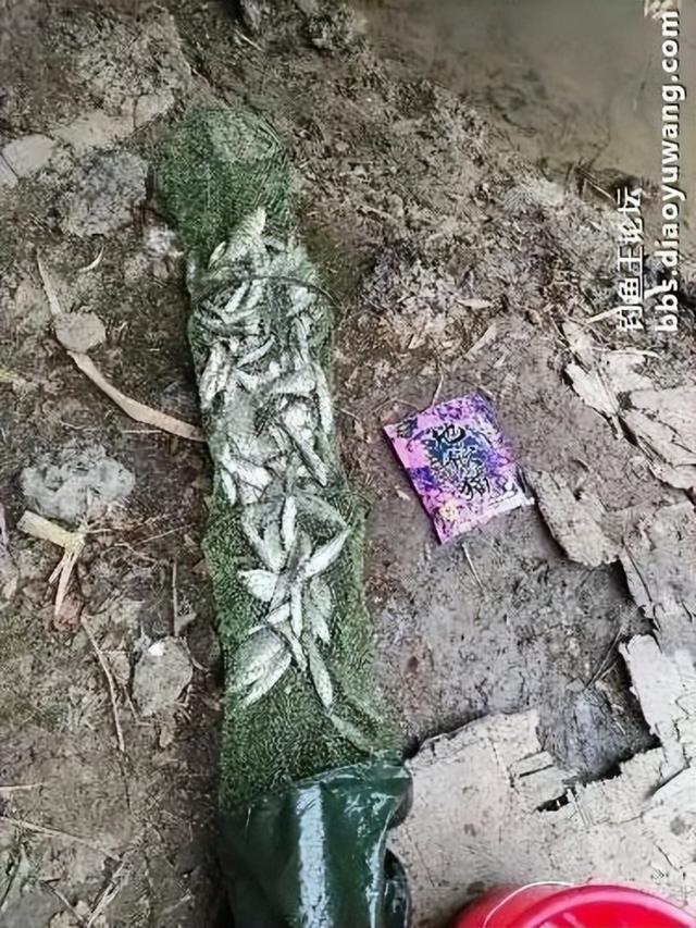 地狱猫一开,爆护自然来