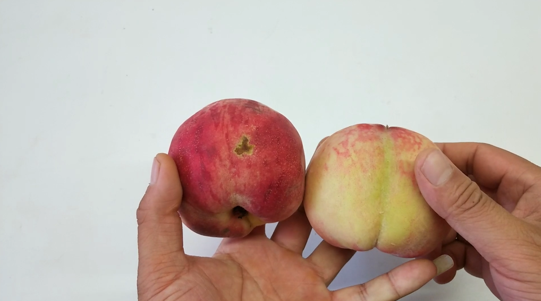 面粉|桃子甜不甜,挑选桃子只要瞧一眼这,一挑一个准,保证香甜又多汁