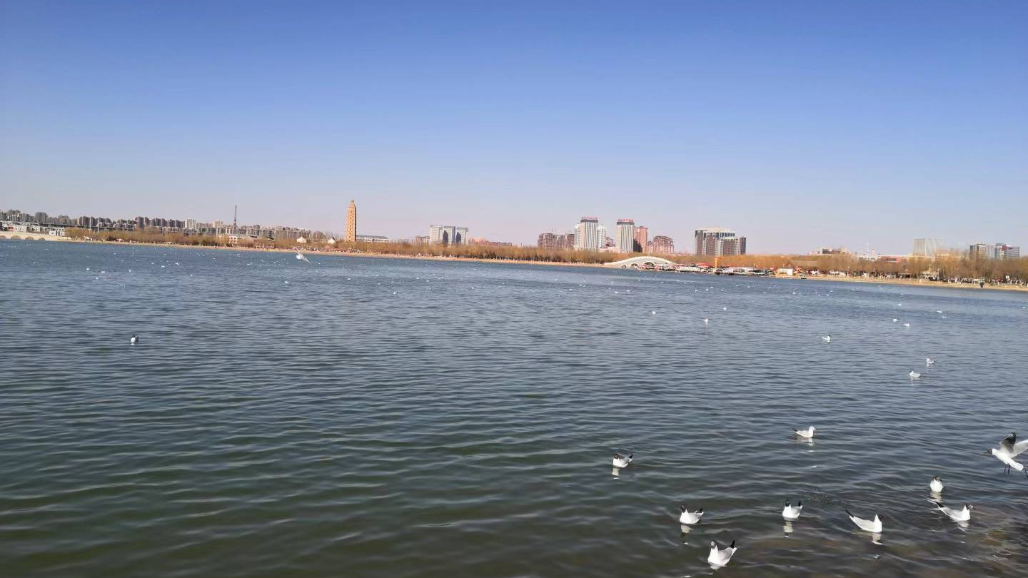 退休|请收起你的不作为