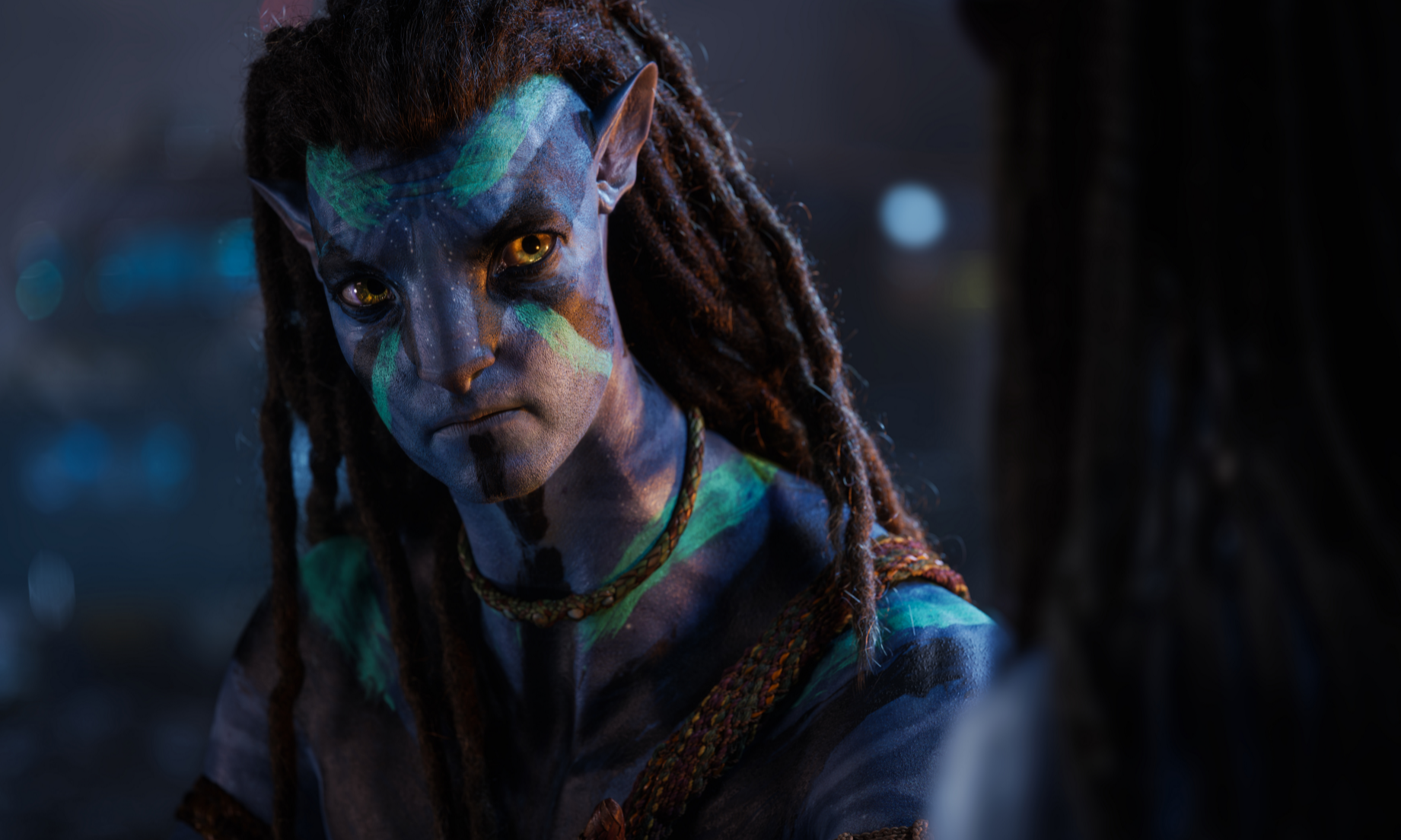 阿凡达2|?《绝望主夫》2天票房破1.11亿, 常远成了元旦档的常胜将军?