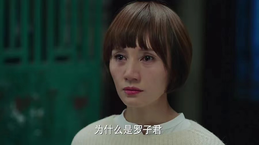 《我的前半生》续篇来袭！靳东雷佳音强强联手，新女主备受瞩目！