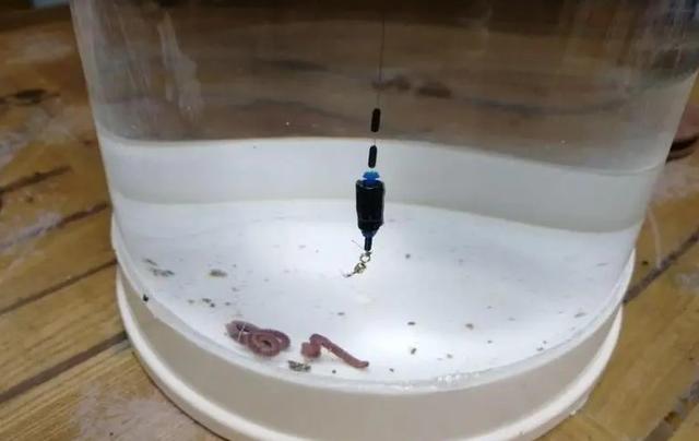 |用蚯蚓钓鱼如何调漂?教你四种好用的调漂方法,高手都在用