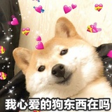 系南爱吃菜