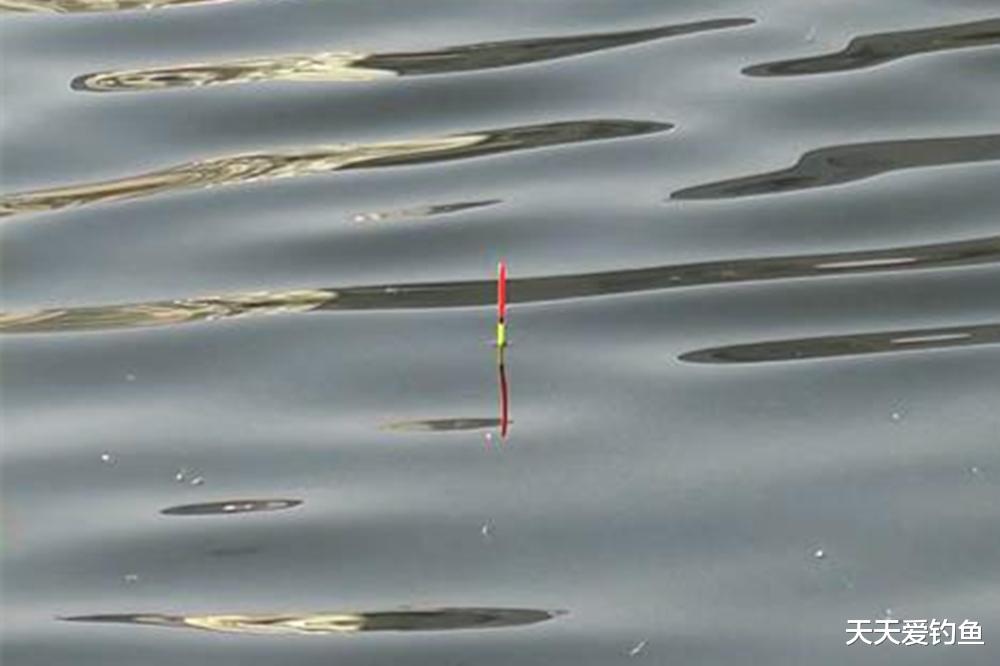 钓鱼技巧：遇上走水大风，这种钓法稳中取胜