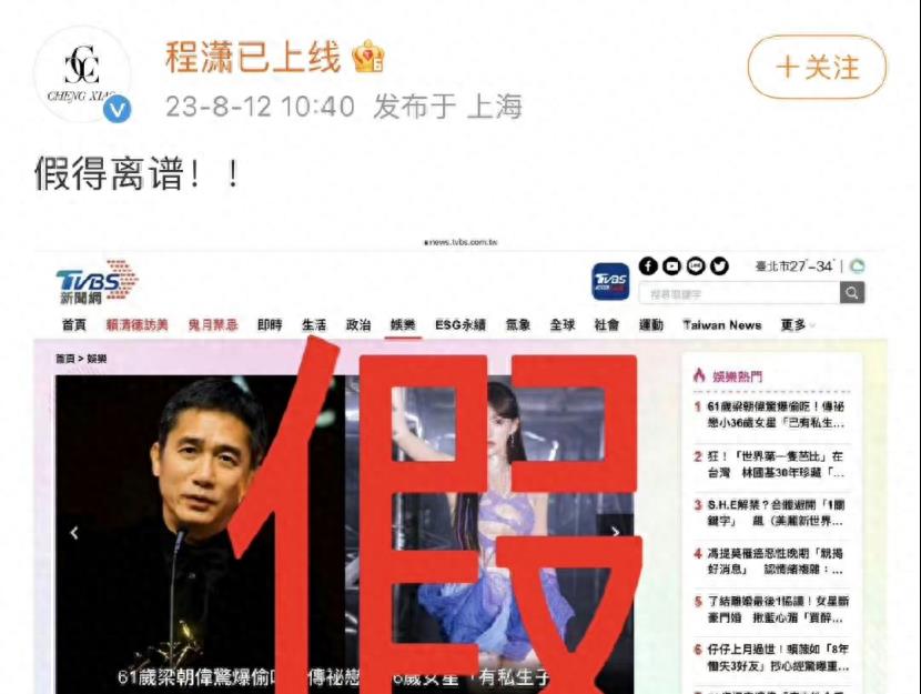 结婚17年无子真相大白,刘嘉玲彻底崩溃!当年真的被绑?