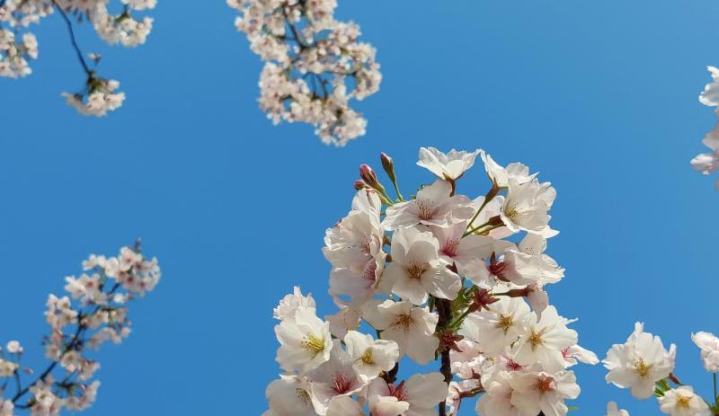 动力|工资不高且每天通勤超过4小时,问:坚持上班的动力到底是什么?
