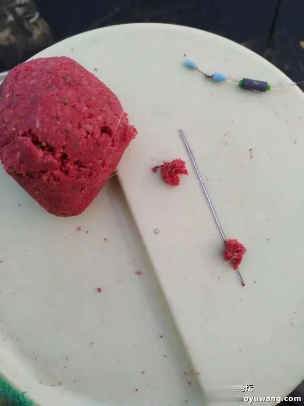 饵料|新漂试用,鱼获给力!