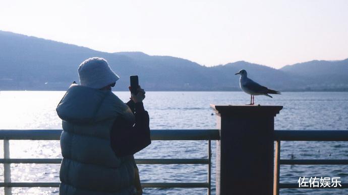 赵丽颖|赵丽颖分享九宫格美照,与海鸥互动被赞人美心善,又美又飒惹人爱