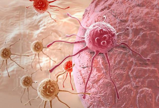 饭量大小决定寿命长短？研究发现：饭量减少1/3，寿命延长35%